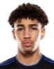 https://img.zm126.com/img/football/player/fb7fd3390bdc25307ce54843fe6472dd.png