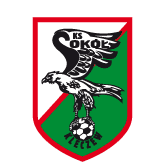 https://img.zm126.com/img/football/team/e6a8908dd206e2ea02d9803c82c60bba.png